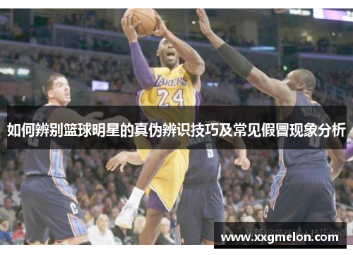 如何辨别篮球明星的真伪辨识技巧及常见假冒现象分析